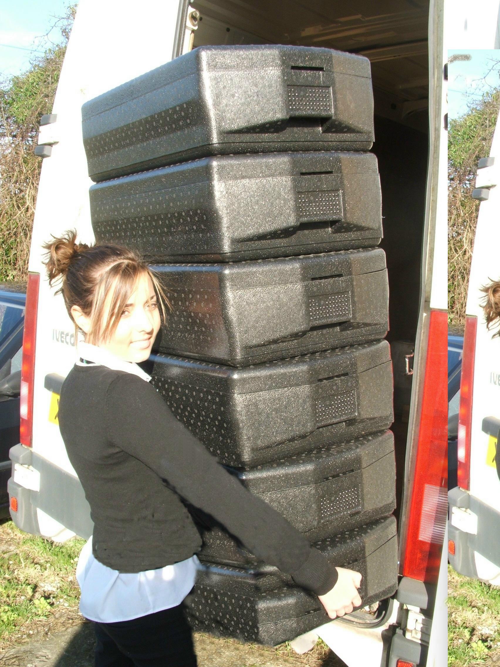 Lightweight and Durable Thermal Food Transport Boxes - Hygienius ...